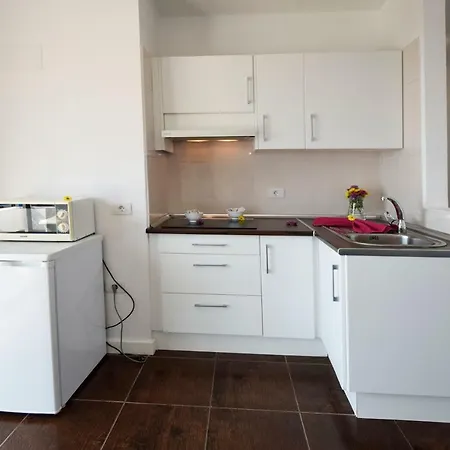 Apartament Paraiso Del Sur Costa Adeje (Tenerife)